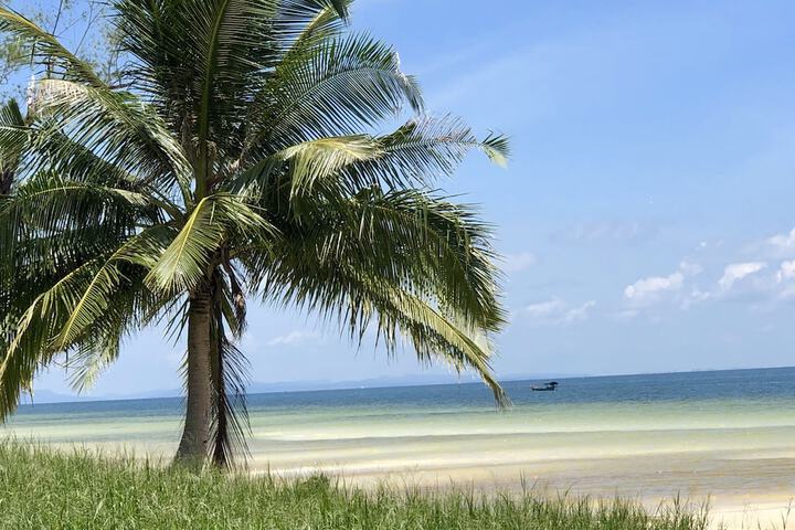Beach 40 of 43