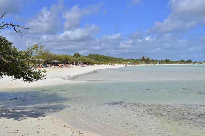Beach 16 of 49
