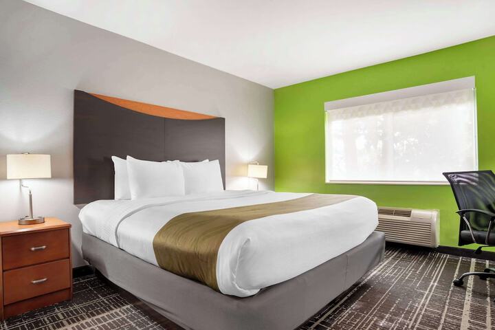 1 King Bed (19 of 19)