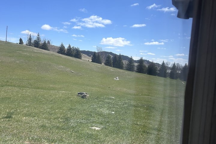 Hotel View 164 of 172