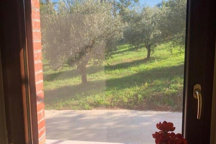 General 6 of 12