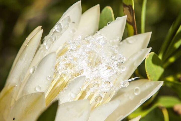 Property Grounds 111 of 142