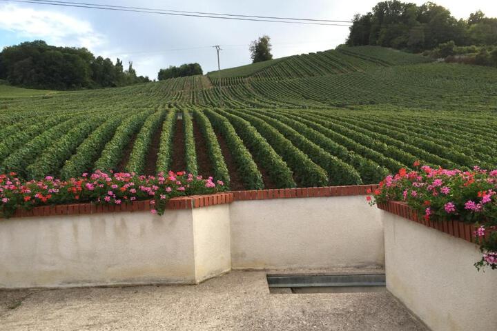 La Loge Du Vigneron