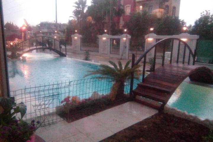 Pool 33 of 67