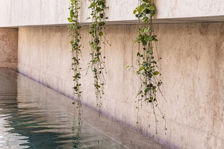 Pool 74 of 144