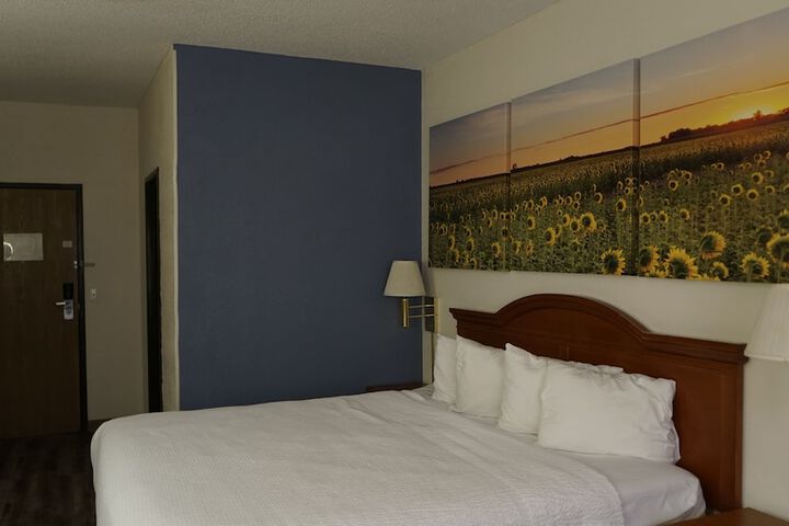 Standard | King Bed (1 of 15)