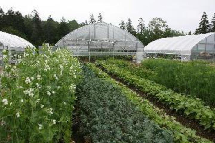 Surrounding environment