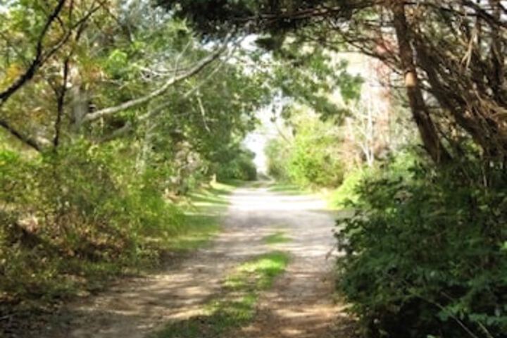 Property Grounds 17 of 21