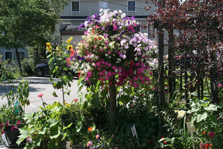 Property Grounds 89 of 97