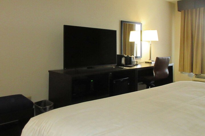 1 King Bed Accessible (8 of 20)