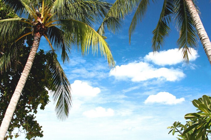 Beach 102 of 125