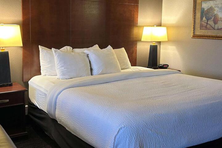 1 King Bed Deluxe River View Sofa Bed Microwave and Refrigerator High Speed Internet Accessible Coffee Maker (22 of 31)