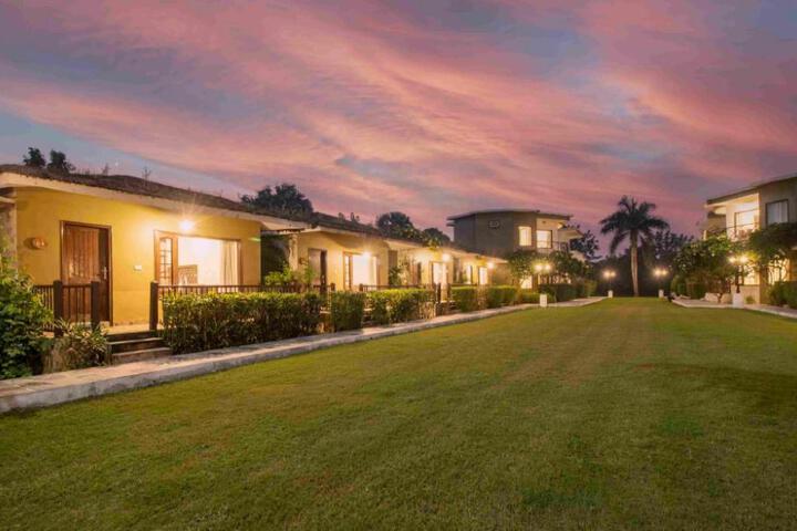 General 4 of 50