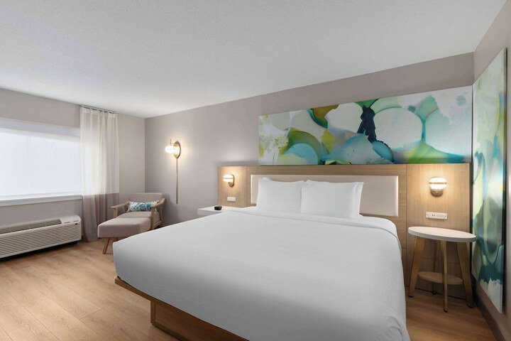 1 King Bed (2 of 11)