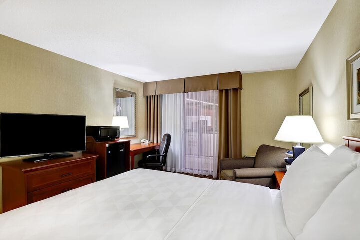 1 King Premium Lounge Accessible (8 of 19)