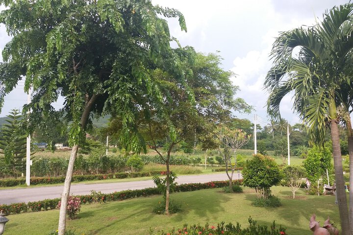 Property Grounds 18 of 28