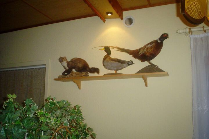 Hotel Interior 39 of 55