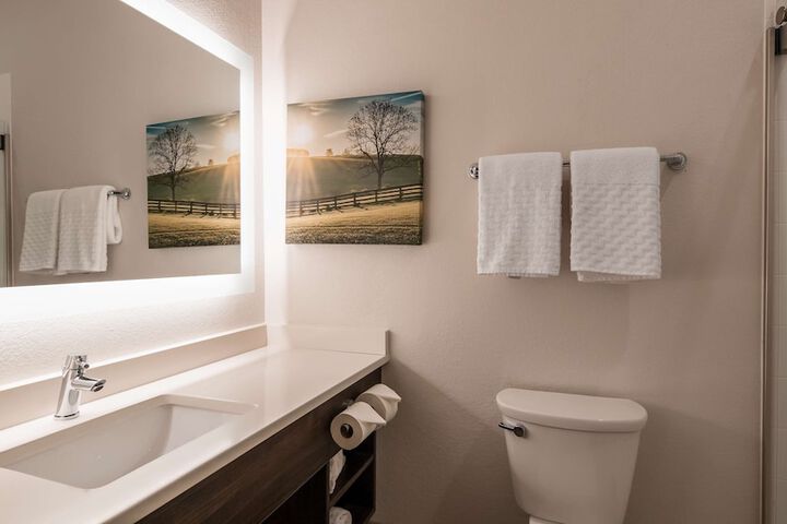 1 King Bed Flat Screen Television Work Desk Refrigerator High Speed Internet Accessible (9 of 17)