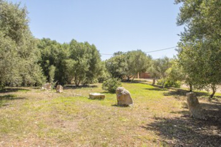 Property Grounds 24 of 31