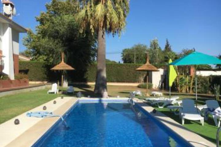 Pool 43 of 56
