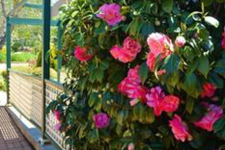 Hotel Exterior 26 of 54