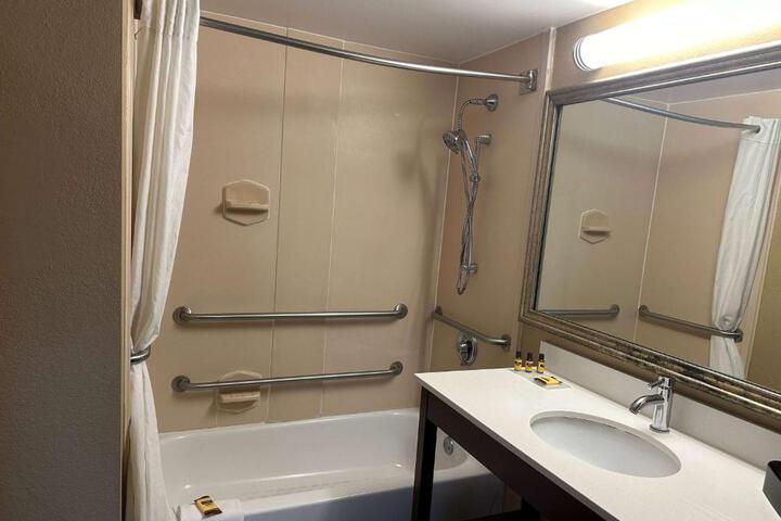 1 King Bed Mobility Hearing Accessible Room Roll in Shower Non-Smokinga (20 of 22)