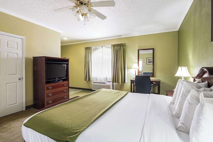 1 King Bed (8 of 9)