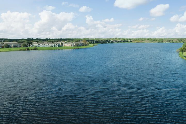 Lake view