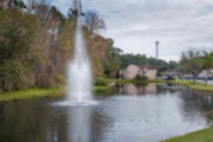 Property Grounds 5 of 24