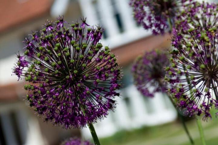 General 61 of 67