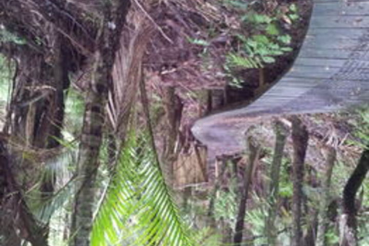 Property Grounds 15 of 24