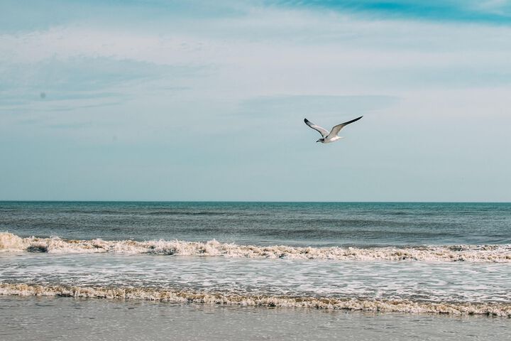 Beach 32 of 35