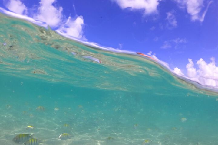 Beach 113 of 122