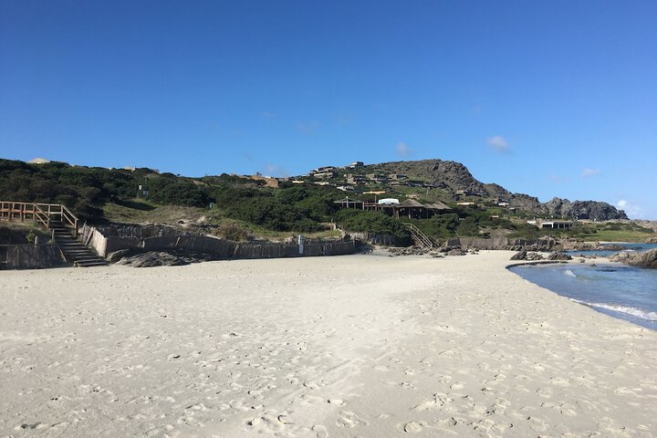Beach 82 of 99