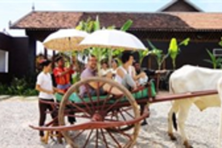 Spa and Wellness Pictures