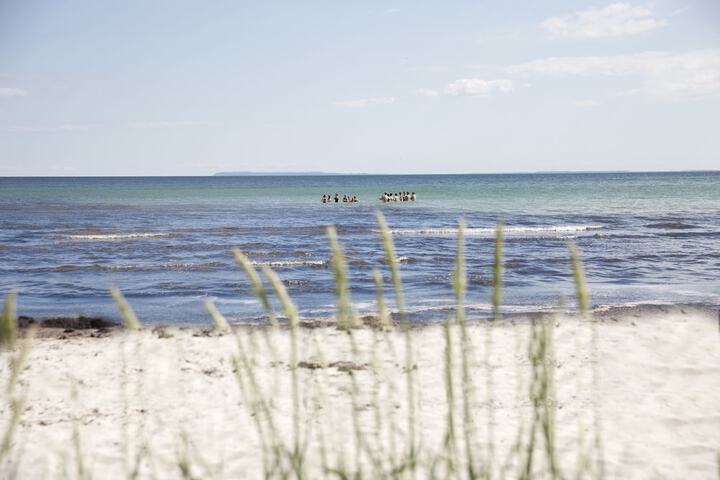 Beach 33 of 39