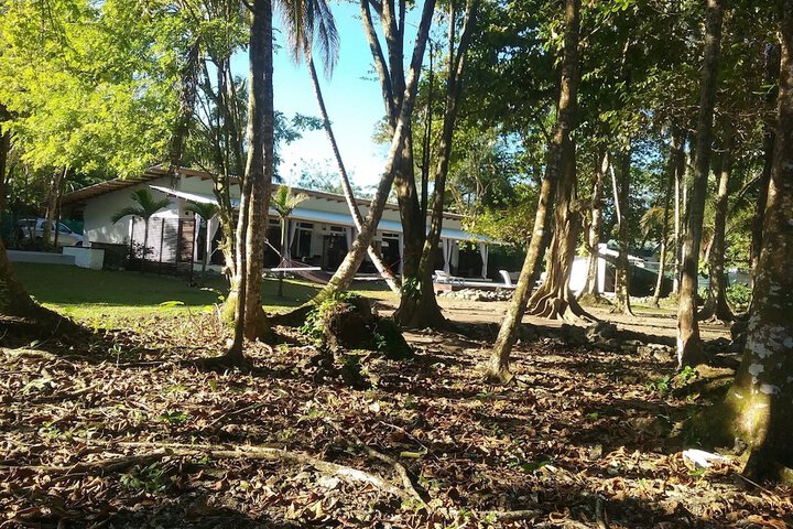 Property Grounds 28 of 47