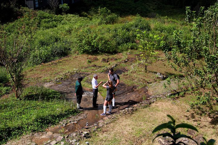 Hiking