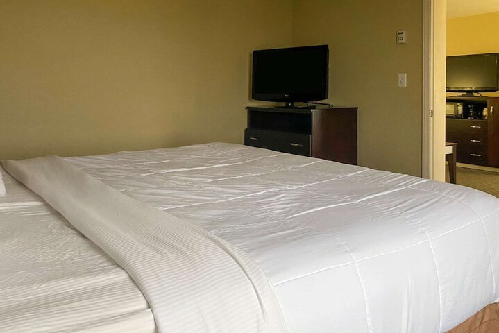 1 King Bed Suite (20 of 25)