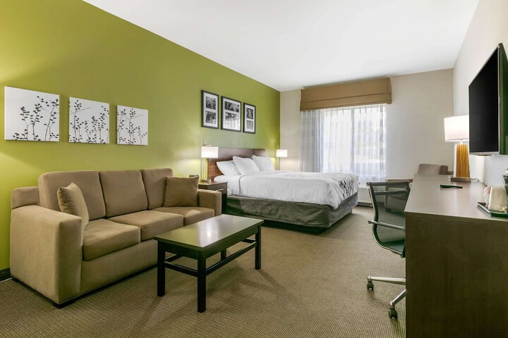 1 King Bed (20 of 20)