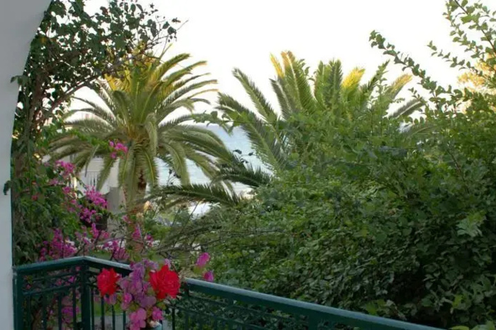PARADISE HOTEL