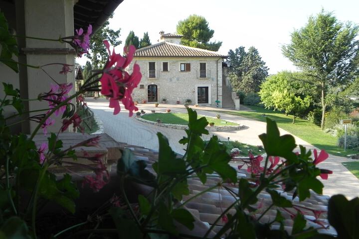 Tenuta Pizzogallo in Amelia