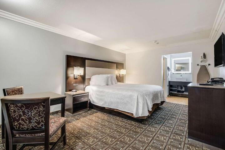 Standard | King Bed (6 of 19)