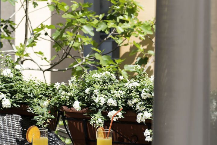 Terrace/Patio 33 of 74