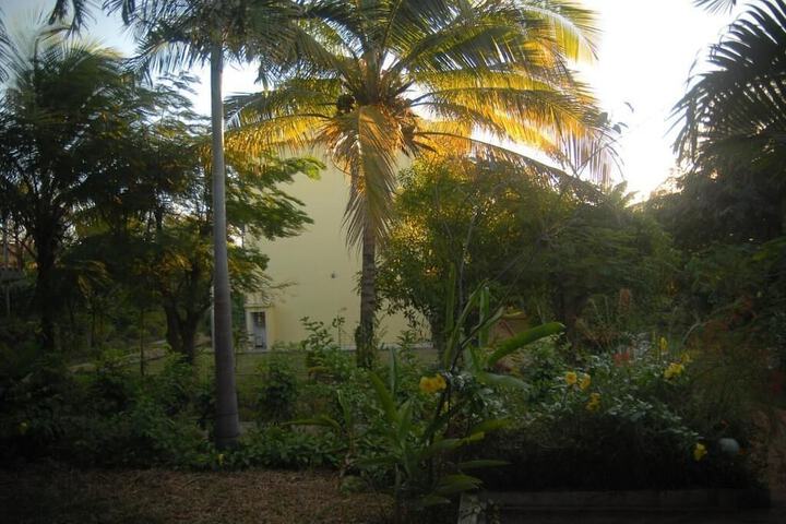 Property Grounds 38 of 54