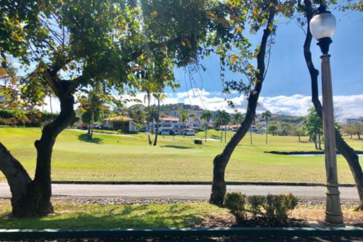 General 11 of 28