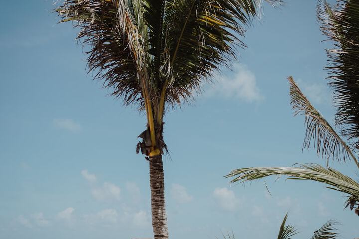 Beach 81 of 104