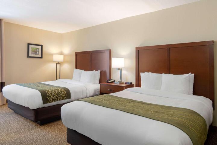 2 Queen Beds (1 of 10)