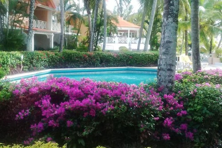 Garden view