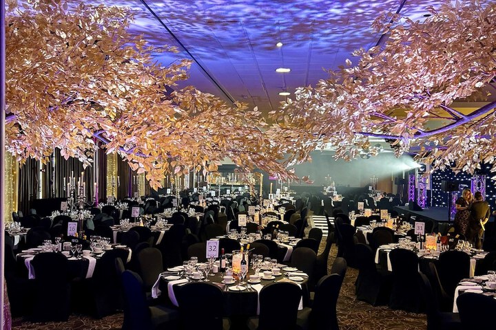 Ballroom/Hall 106 of 151